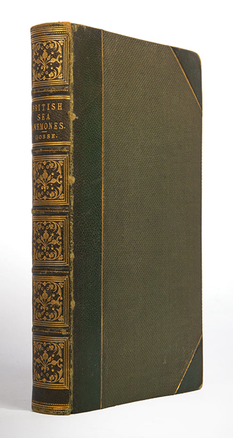 Actinologia Britannica.