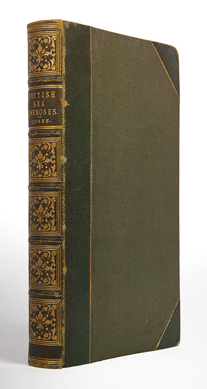 Actinologia Britannica.