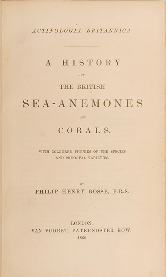 Actinologia Britannica.