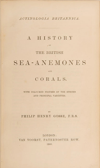 Actinologia Britannica.