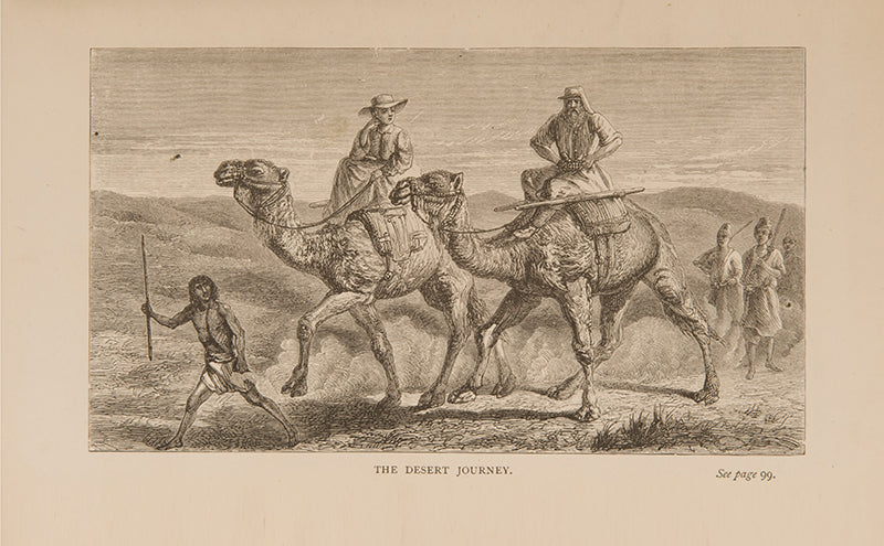First edition of Samuel Baker's The Nile Tributaries of Abyssinia, his work on the lands of the Nile tributary system designed to complement The Albert Ny'anza.
