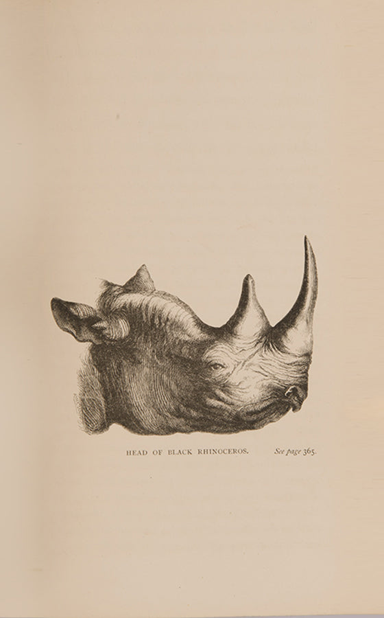 First edition of Samuel Baker's The Nile Tributaries of Abyssinia, his work on the lands of the Nile tributary system designed to complement The Albert Ny'anza.