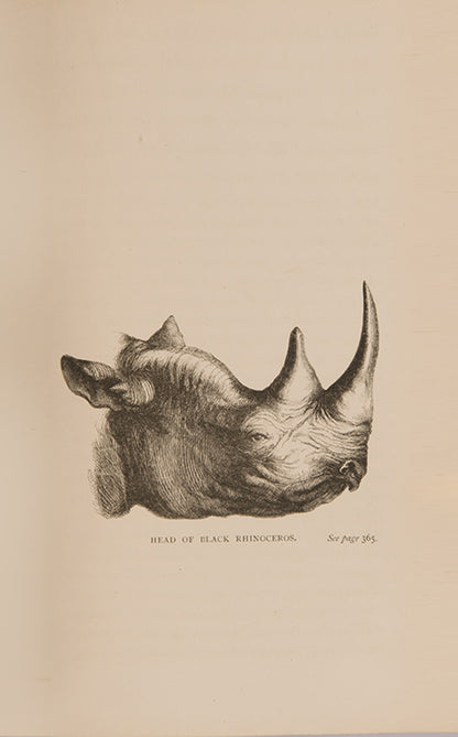 First edition of Samuel Baker's The Nile Tributaries of Abyssinia, his work on the lands of the Nile tributary system designed to complement The Albert Ny'anza.