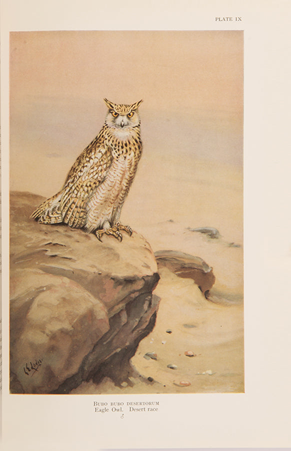 A finely bound copy of Colonel Meinertzhagen's 'Birds of Arabia', the definitive work on Arabian birds.