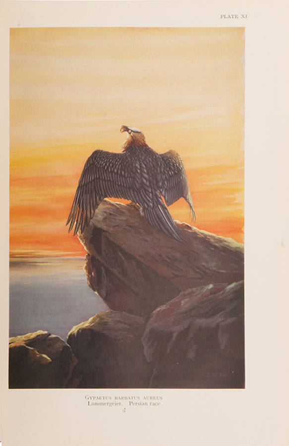 A finely bound copy of Colonel Meinertzhagen's 'Birds of Arabia', the definitive work on Arabian birds.