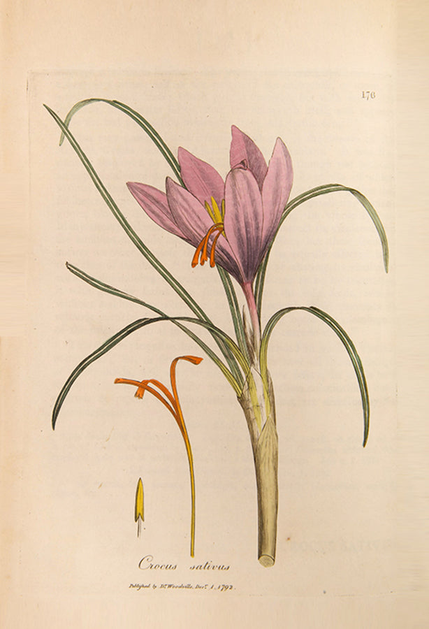 A handsomely bound set of the first edition of Medical Botany by physician William Woodville, with the first supplement, published between 1790 and 1794.
