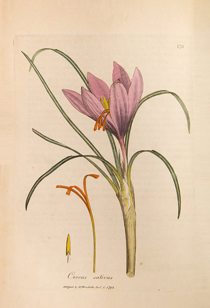 A handsomely bound set of the first edition of Medical Botany by physician William Woodville, with the first supplement, published between 1790 and 1794.