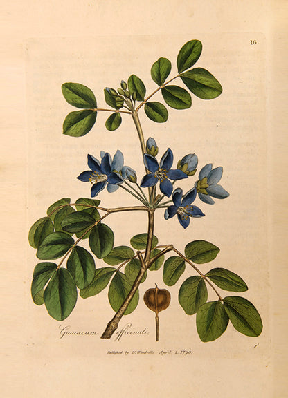 A handsomely bound set of the first edition of Medical Botany by physician William Woodville, with the first supplement, published between 1790 and 1794.