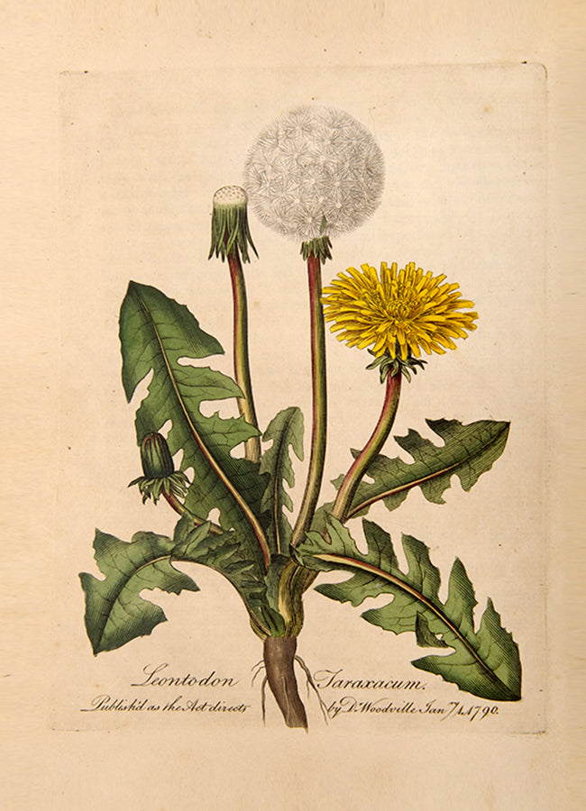 A handsomely bound set of the first edition of Medical Botany by physician William Woodville, with the first supplement, published between 1790 and 1794.