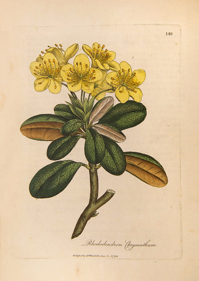 A handsomely bound set of the first edition of Medical Botany by physician William Woodville, with the first supplement, published between 1790 and 1794.