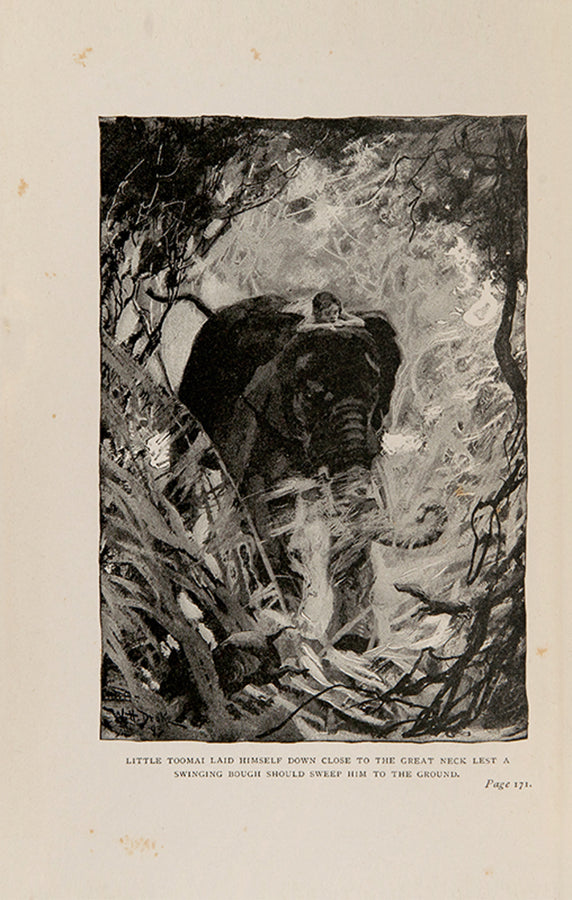 The jungle book in two volumes, with the original pictorial boards in very good condition, the gilt embossed covers are well preserved especially the second volume