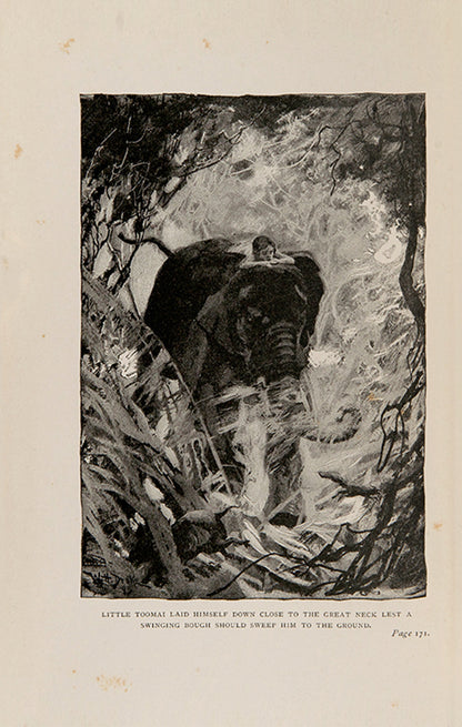 The jungle book in two volumes, with the original pictorial boards in very good condition, the gilt embossed covers are well preserved especially the second volume