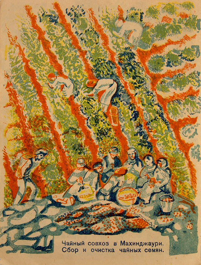 Soviet children's book celebrating the Soviet 'tropicss' i.e. Adjara and Abkhazia.