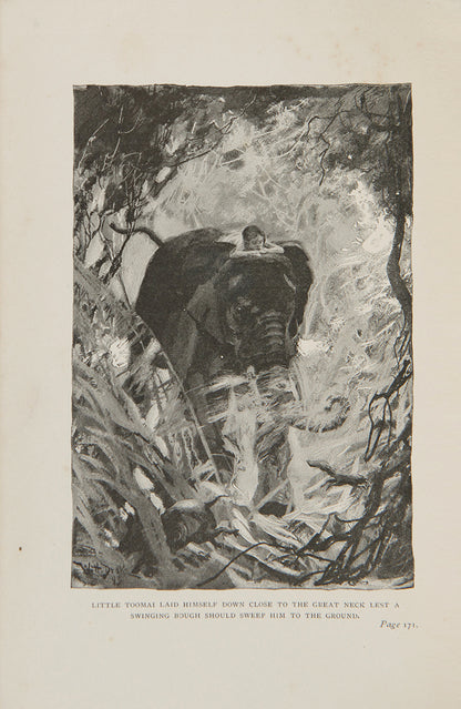 An attractive set of Kipling's. The Jungel Book and The Second Jungle Book, his best known collection of stories, famously made into a film; 2 volumes, both first editions