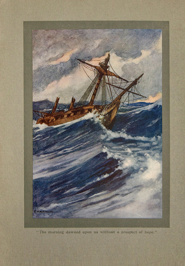 The Swiss Family Robinson.