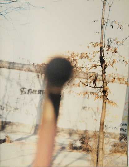 Ahnung [Foreboding].