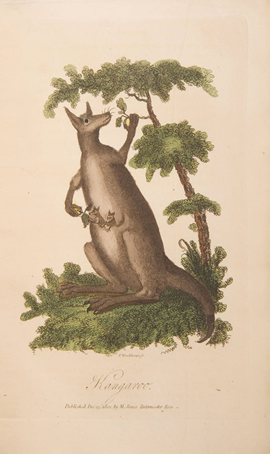 The enlarged second edition of George Barrington's An Account of a Voyage to New South Wales and The History of New South Wales, with an additional supplement and plate.