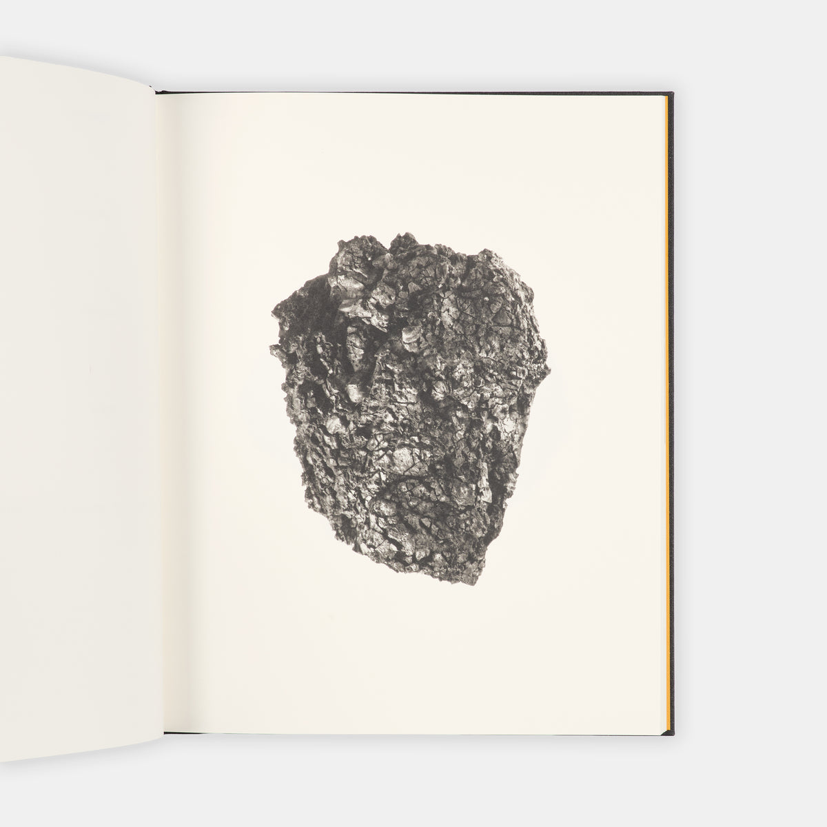 A complete signed set of Roni Horn's epic and ambitious, ongoing encyclopedic series To Place.
