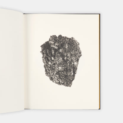 A complete signed set of Roni Horn's epic and ambitious, ongoing encyclopedic series To Place.