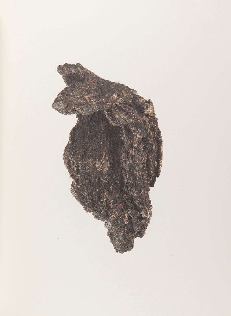 A complete signed set of Roni Horn's epic and ambitious, ongoing encyclopedic series To Place.