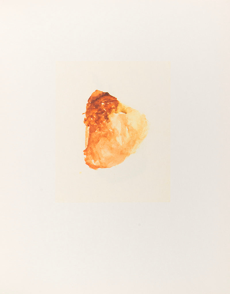 A complete signed set of Roni Horn's epic and ambitious, ongoing encyclopedic series To Place.