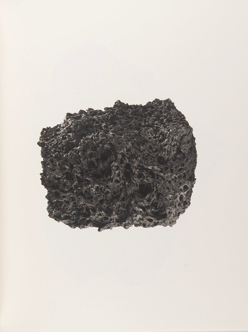 A complete signed set of Roni Horn's epic and ambitious, ongoing encyclopedic series To Place.