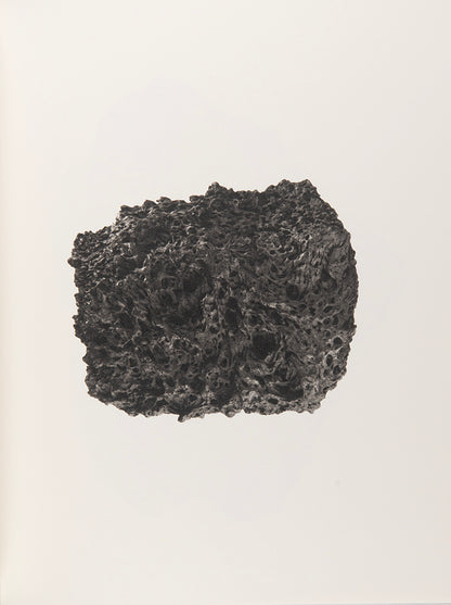 A complete signed set of Roni Horn's epic and ambitious, ongoing encyclopedic series To Place.
