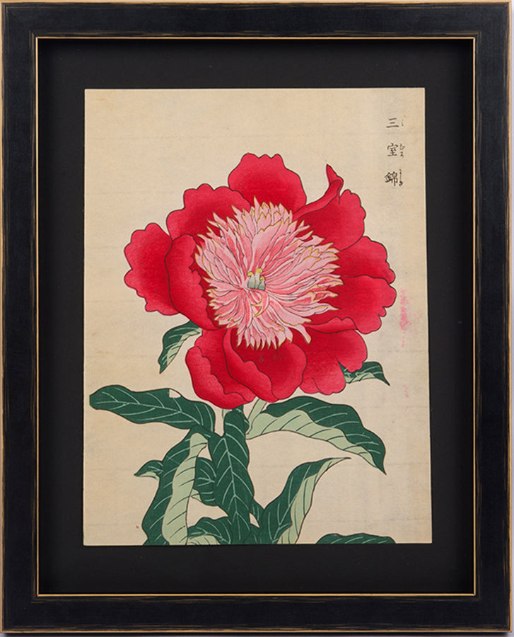 Japanese woodblock print of a brilliant red peony.