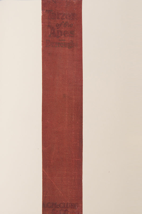 First edition of Tarzan of the Apes by Edgar Rice Burroughs.