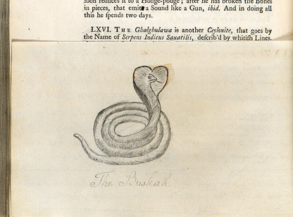 First edition of Charles Owen's An Essay Towards a Natural History of Serpents, an attractively illustrated book on the biology and cultraul relevance of snakes, published in 1742.