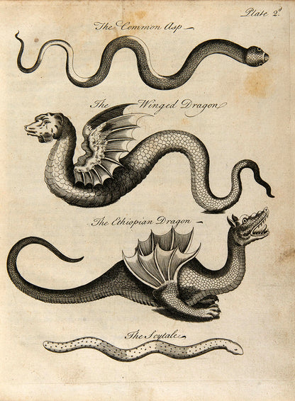 First edition of Charles Owen's An Essay Towards a Natural History of Serpents, an attractively illustrated book on the biology and cultraul relevance of snakes, published in 1742.