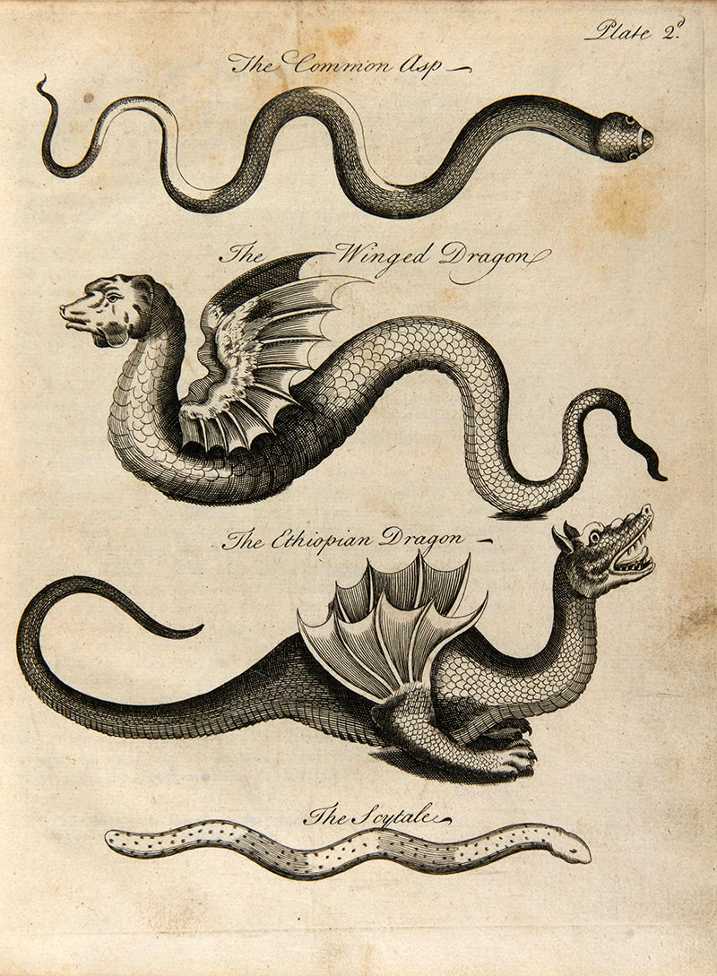 First edition of Charles Owen's An Essay Towards a Natural History of Serpents, an attractively illustrated book on the biology and cultraul relevance of snakes, published in 1742.