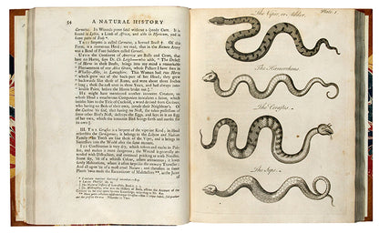 First edition of Charles Owen's An Essay Towards a Natural History of Serpents, an attractively illustrated book on the biology and cultraul relevance of snakes, published in 1742.