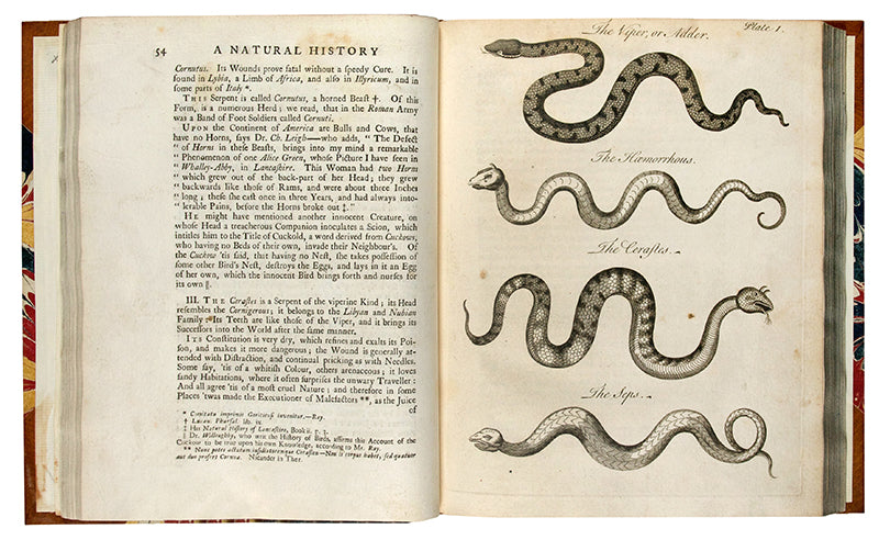 First edition of Charles Owen's An Essay Towards a Natural History of Serpents, an attractively illustrated book on the biology and cultraul relevance of snakes, published in 1742.