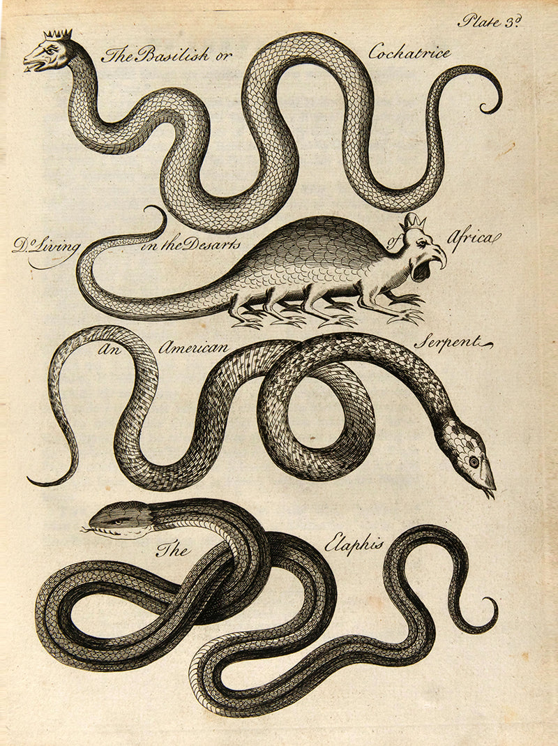 First edition of Charles Owen's An Essay Towards a Natural History of Serpents, an attractively illustrated book on the biology and cultraul relevance of snakes, published in 1742.