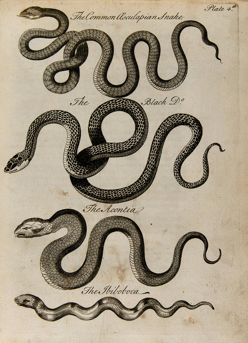 First edition of Charles Owen's An Essay Towards a Natural History of Serpents, an attractively illustrated book on the biology and cultraul relevance of snakes, published in 1742.