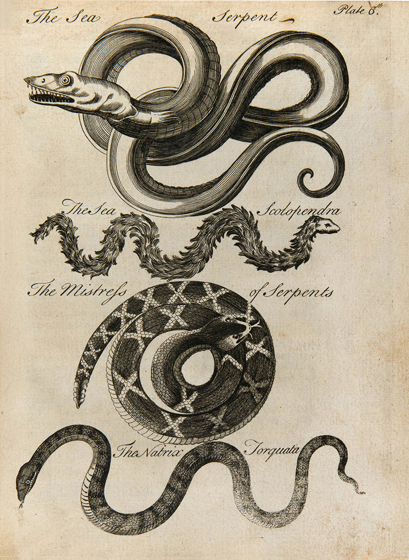 First edition of Charles Owen's An Essay Towards a Natural History of Serpents, an attractively illustrated book on the biology and cultraul relevance of snakes, published in 1742.
