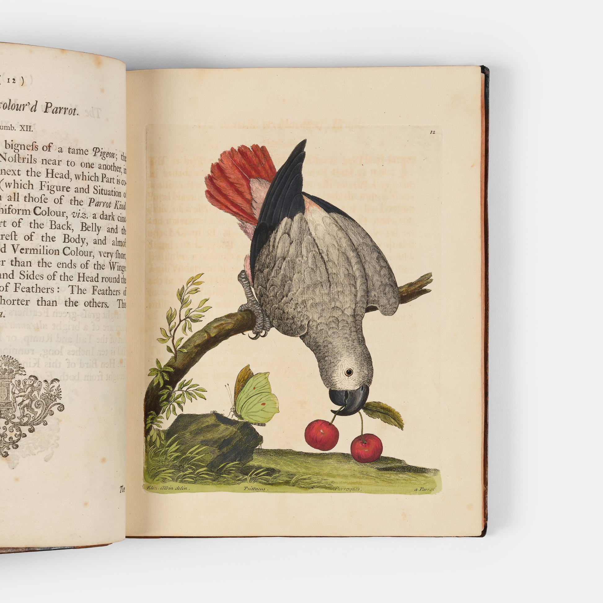 First editions of A Natural History of Birds by Eleazar Albin, the first British bird book illustrated with hand-coloured plates, published in 1731, 1734, & 1738.