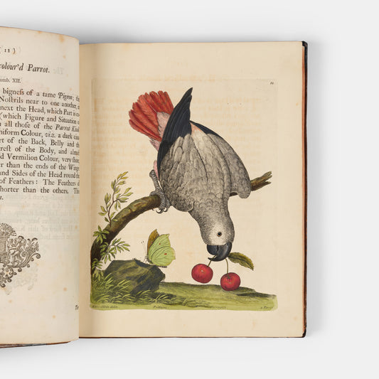 First editions of A Natural History of Birds by Eleazar Albin, the first British bird book illustrated with hand-coloured plates, published in 1731, 1734, & 1738.