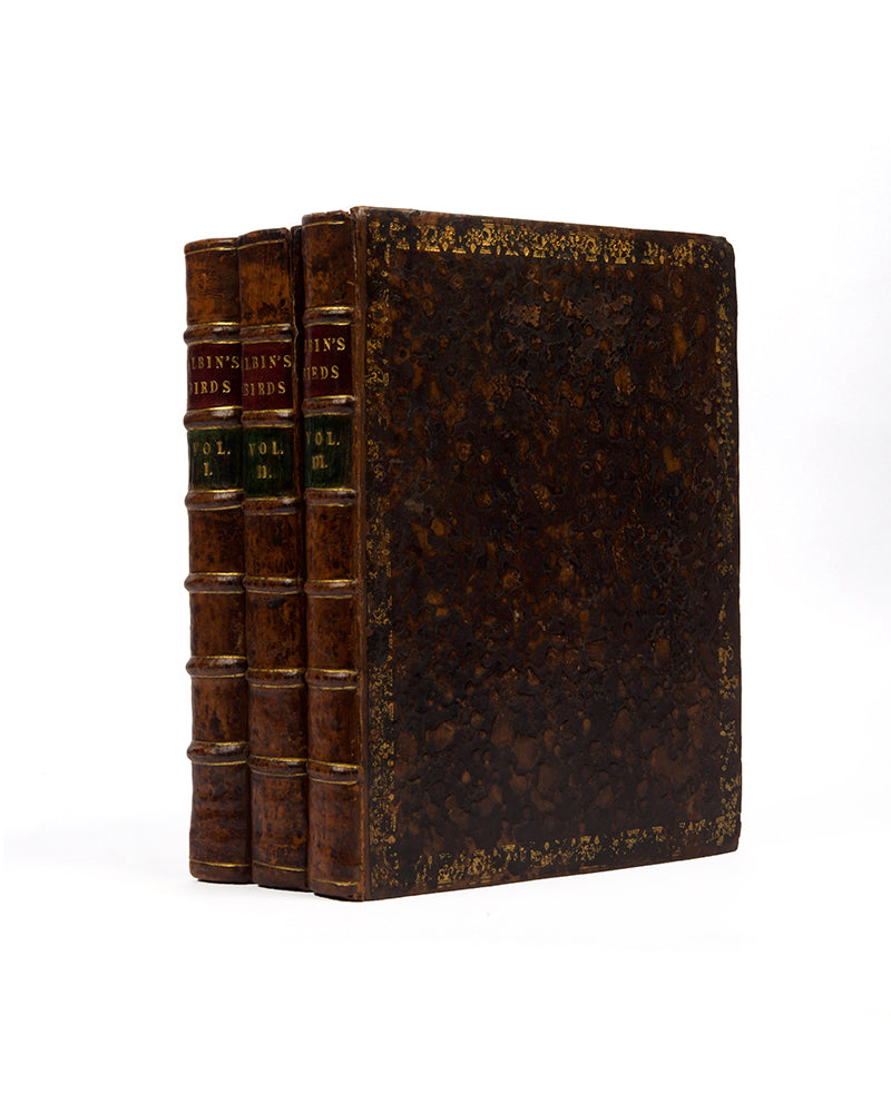 First editions of A Natural History of Birds by Eleazar Albin, the first British bird book illustrated with hand-coloured plates, published in 1731, 1734, & 1738.