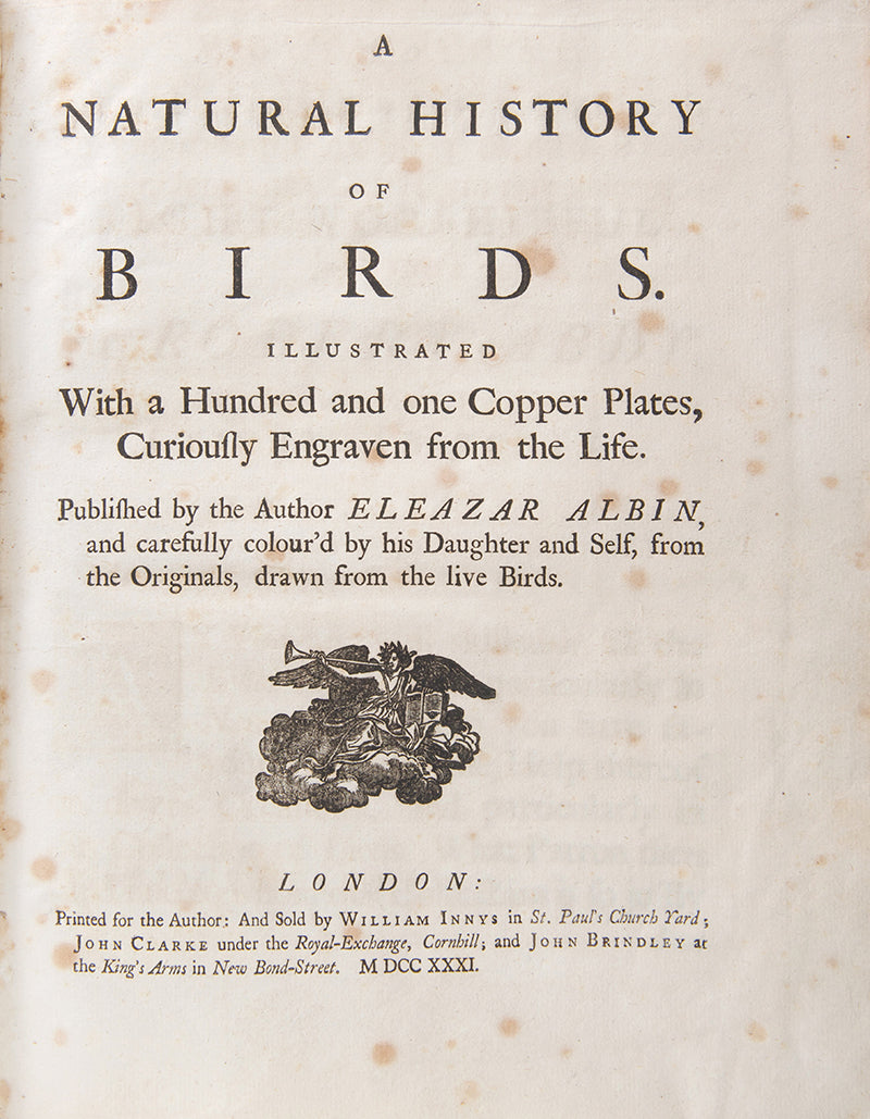 First editions of A Natural History of Birds by Eleazar Albin, the first British bird book illustrated with hand-coloured plates, published in 1731, 1734, & 1738.