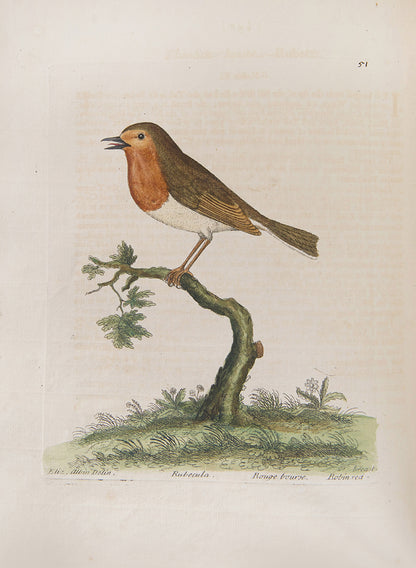 First editions of A Natural History of Birds by Eleazar Albin, the first British bird book illustrated with hand-coloured plates, published in 1731, 1734, & 1738.