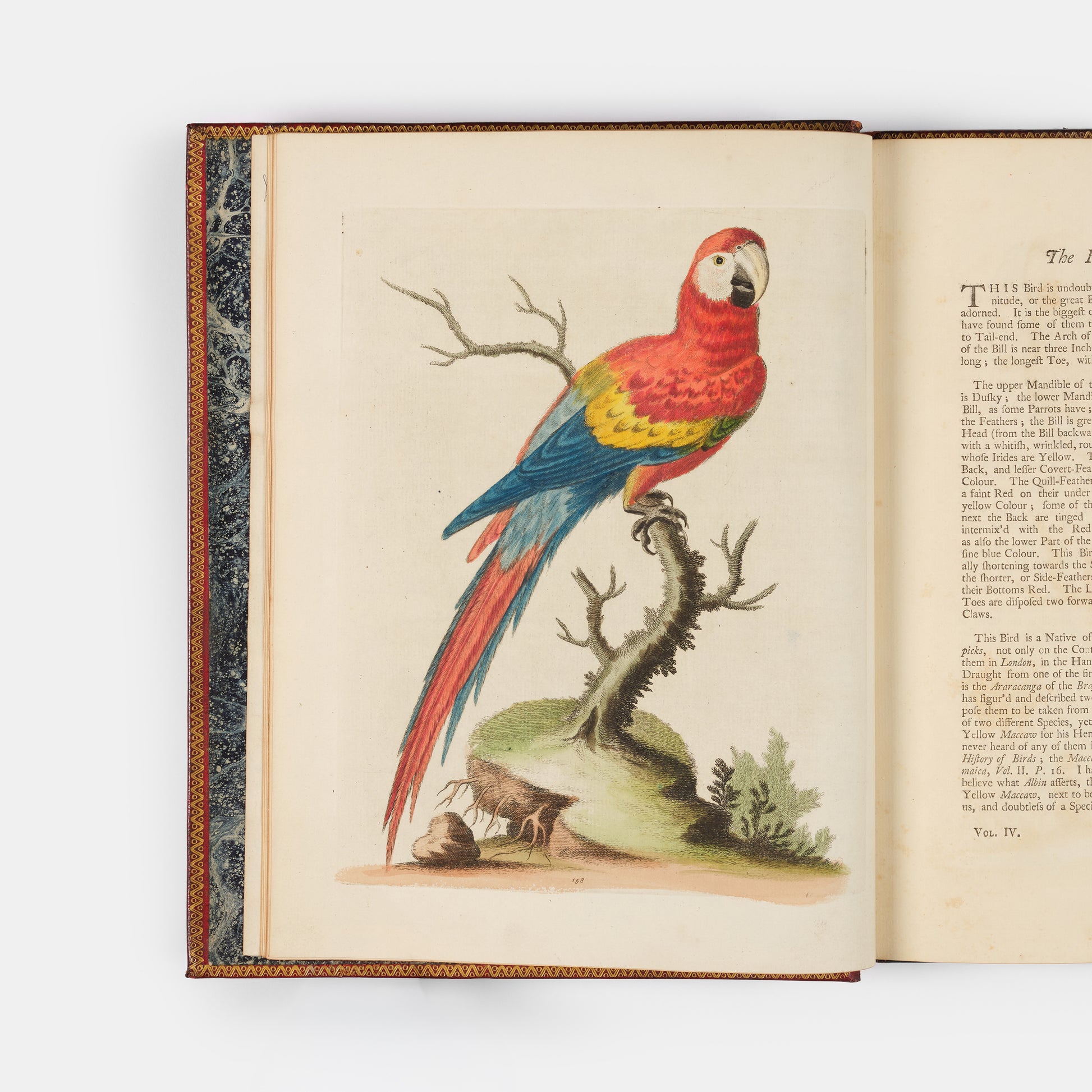 A handsome set of one of the most important of all bird books, George Edwards' Natural History of Uncommon Birds with Gleanings of Natural History, 1743-1806.