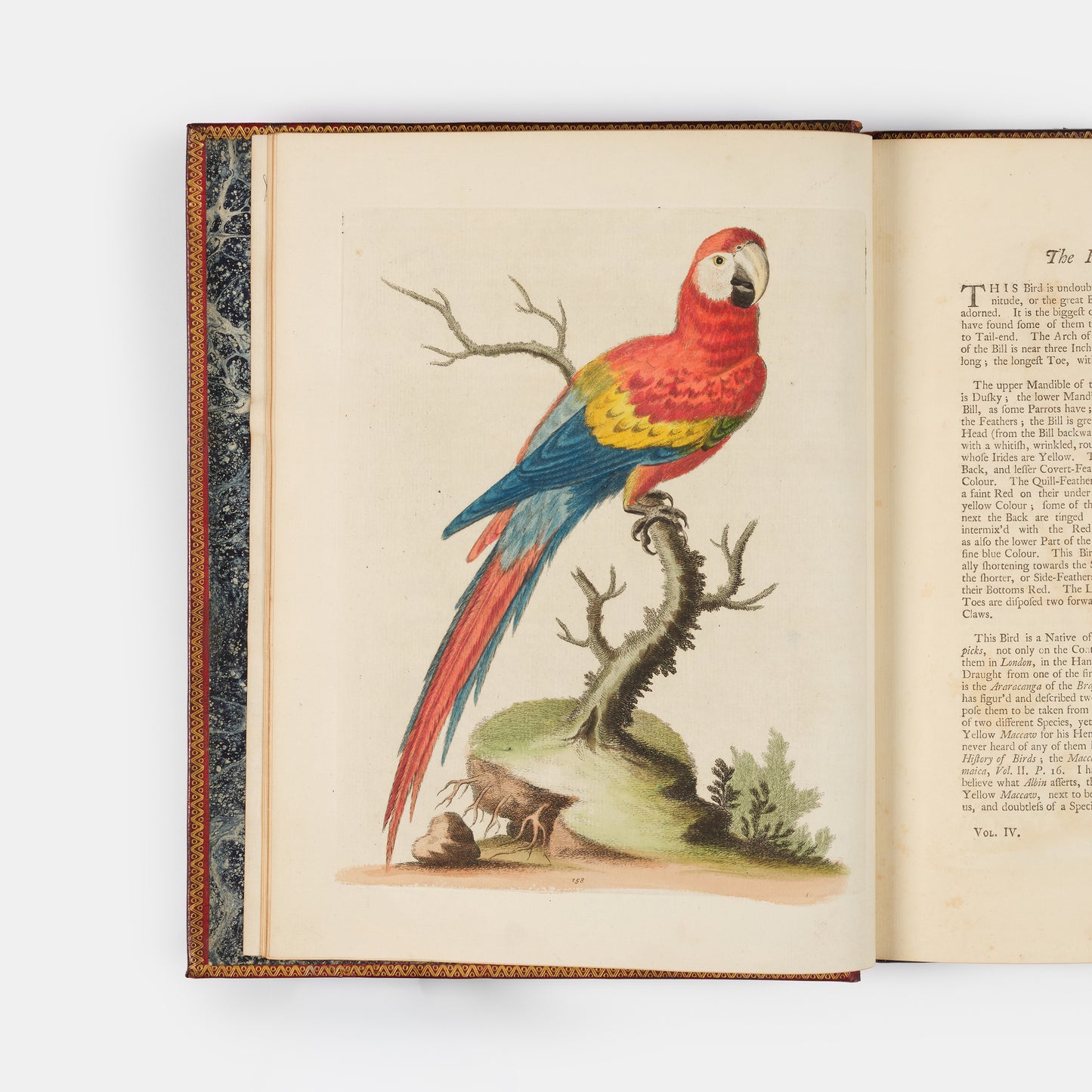 A handsome set of one of the most important of all bird books, George Edwards' Natural History of Uncommon Birds with Gleanings of Natural History, 1743-1806.