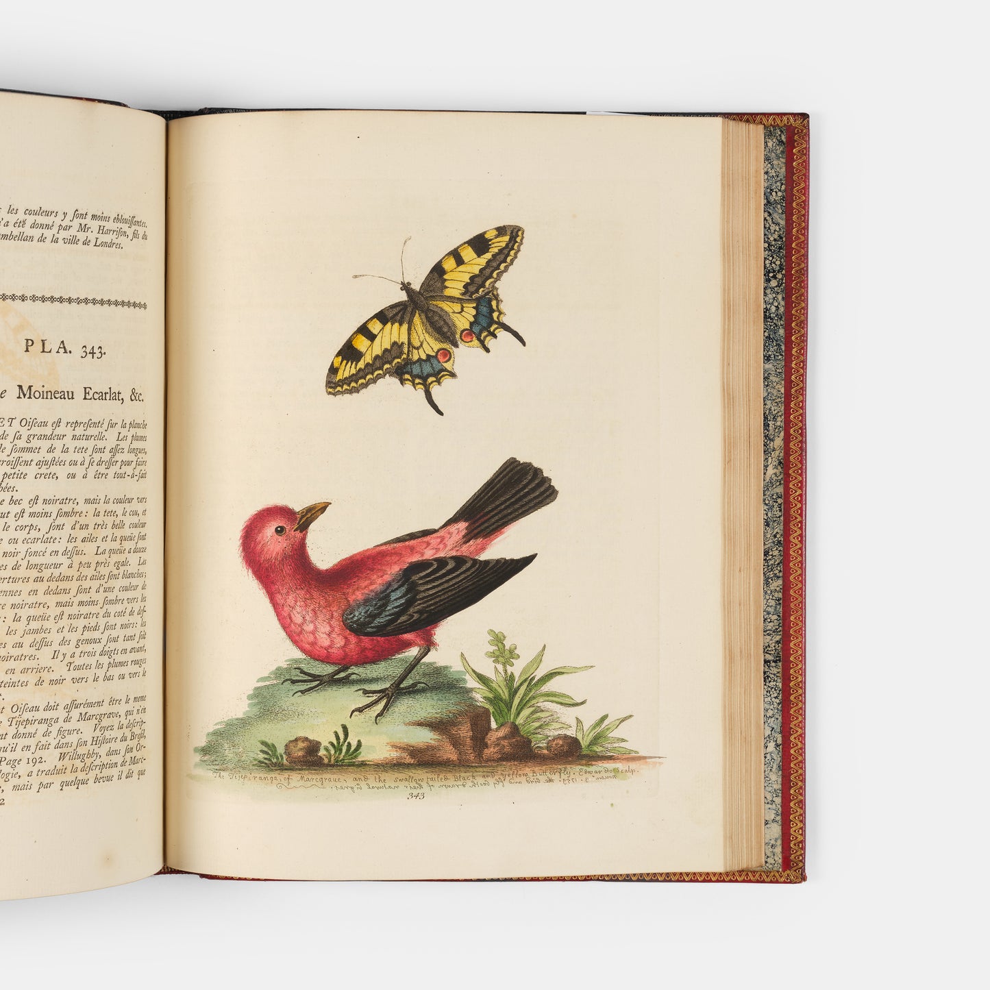 A handsome set of one of the most important of all bird books, George Edwards' Natural History of Uncommon Birds with Gleanings of Natural History, 1743-1806.