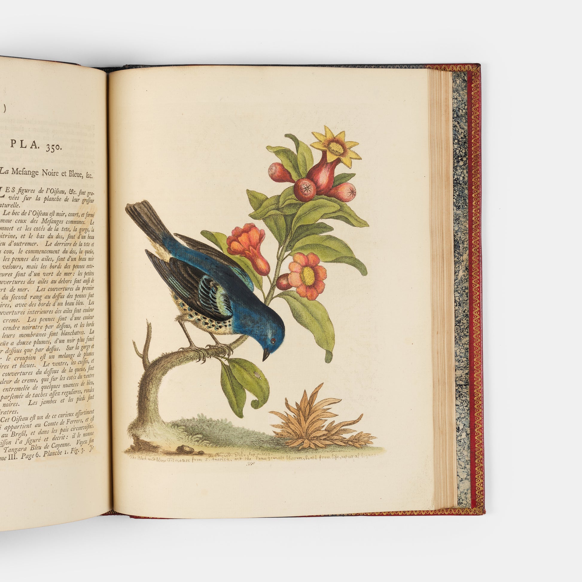 A handsome set of one of the most important of all bird books, George Edwards' Natural History of Uncommon Birds with Gleanings of Natural History, 1743-1806.