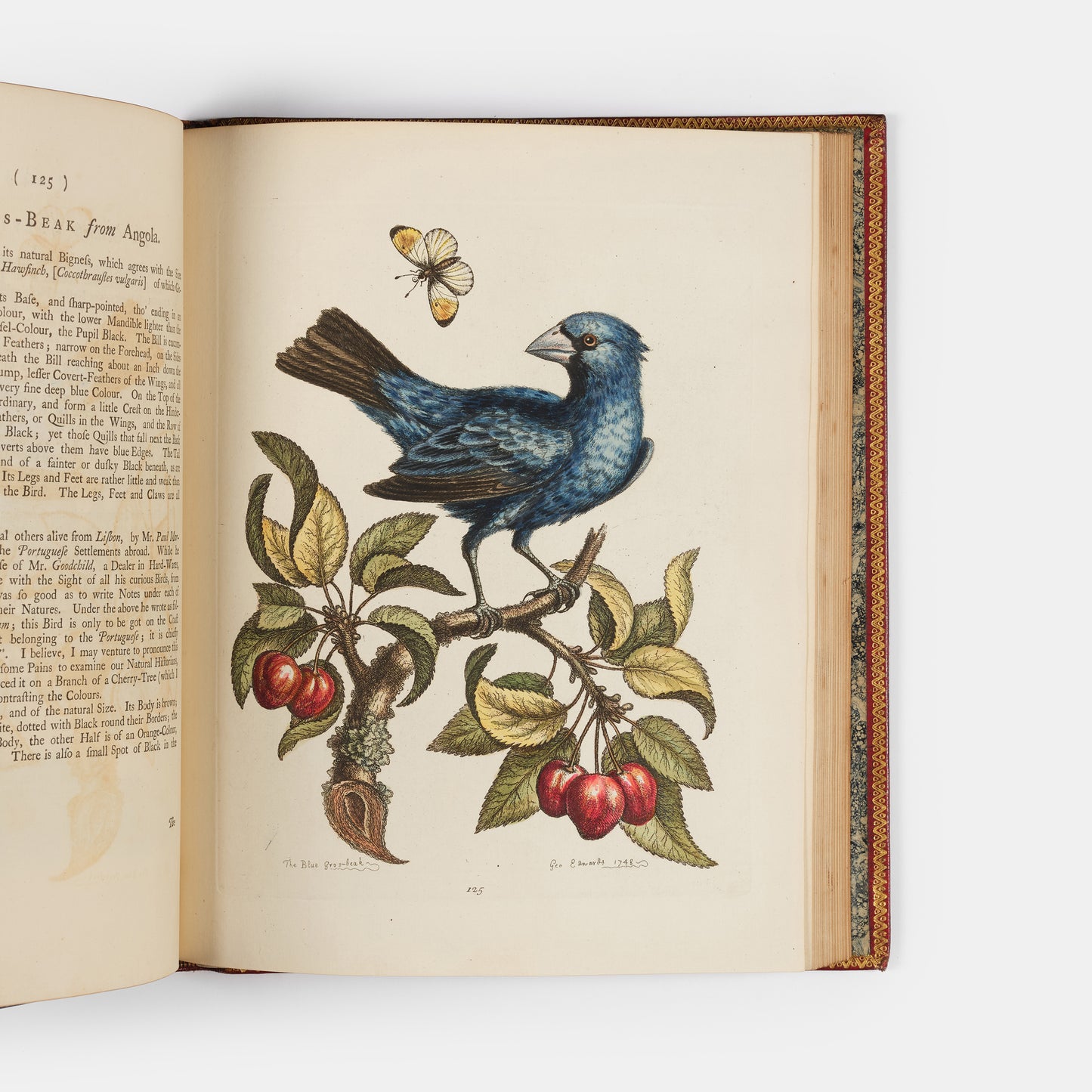 A handsome set of one of the most important of all bird books, George Edwards' Natural History of Uncommon Birds with Gleanings of Natural History, 1743-1806.
