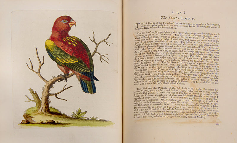 A handsome set of one of the most important of all bird books, George Edwards' Natural History of Uncommon Birds with Gleanings of Natural History, 1743-1806.