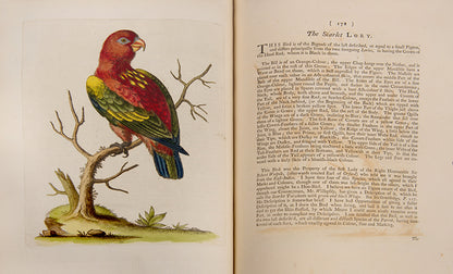 A handsome set of one of the most important of all bird books, George Edwards' Natural History of Uncommon Birds with Gleanings of Natural History, 1743-1806.