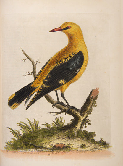 A handsome set of one of the most important of all bird books, George Edwards' Natural History of Uncommon Birds with Gleanings of Natural History, 1743-1806.